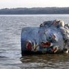Photo: Giant Head Found In Hudson River